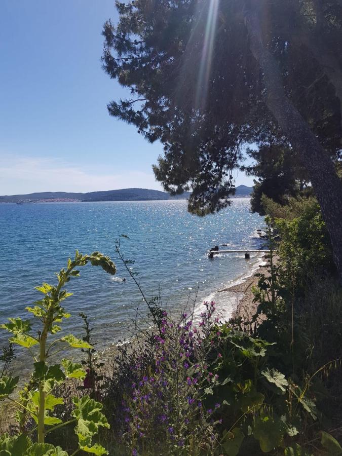 Apartman Milo - Zara Esterno foto